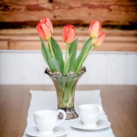 Wiedemanni هابسالو