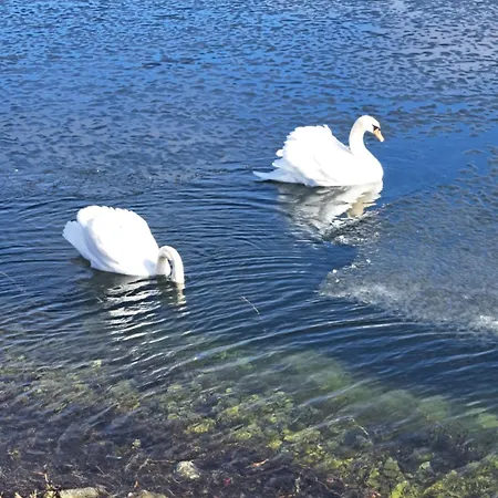 شقة Wiedemanni هابسالو