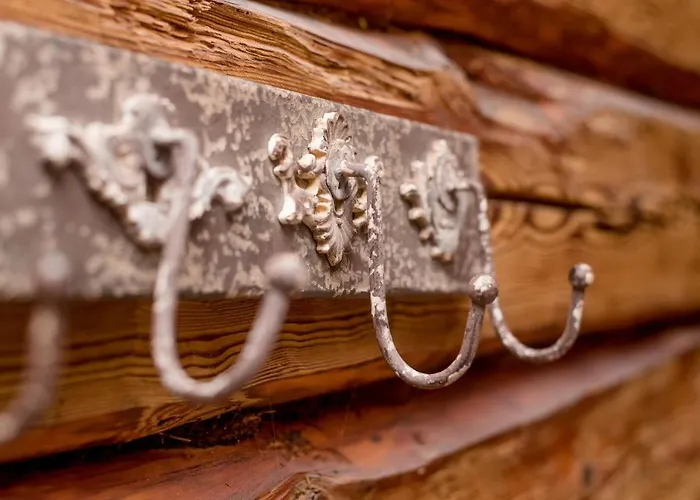 Wiedemanni 哈普萨卢