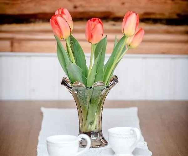 Wiedemanni هابسالو